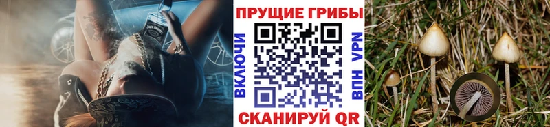 Псилоцибиновые грибы GOLDEN TEACHER  дарк нет Telegram  ОМГ ОМГ как войти  Лысково  купить  цена 